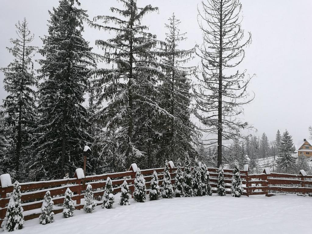 Apartament Z Kogutem Zakopane Exterior photo